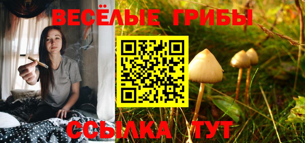 Галлюциногенные грибы Psilocybine cubensis  Вход с VPN  Аксай  Галлюциногенные грибы MAGIC MUSHROOMS 